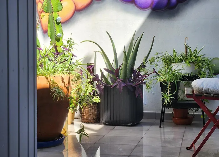 Salvia Bnb, Con Banos Privados Icod De Los Vinos
