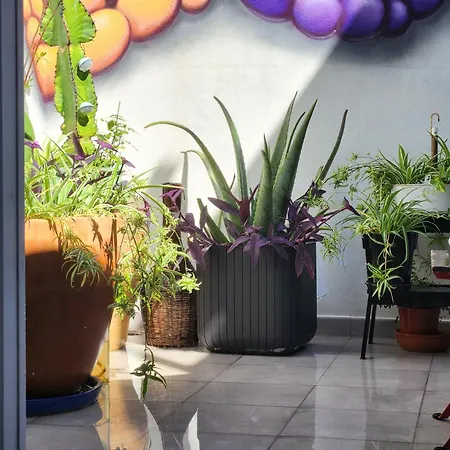 Salvia Bnb, Con Banos Privados イコー・デ・ロス・ビノス
