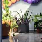 Salvia Bnb, Con Banos Privados Icod De Los Vinos